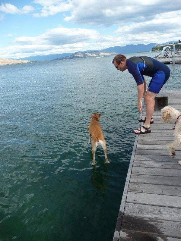 4-dog-walking-on-water-photo