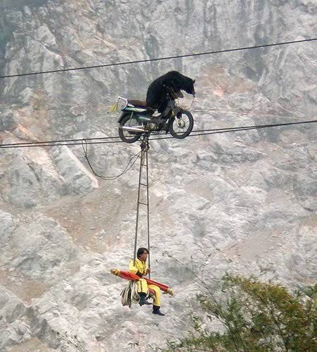 extreme-tight-rope-daredevils-5