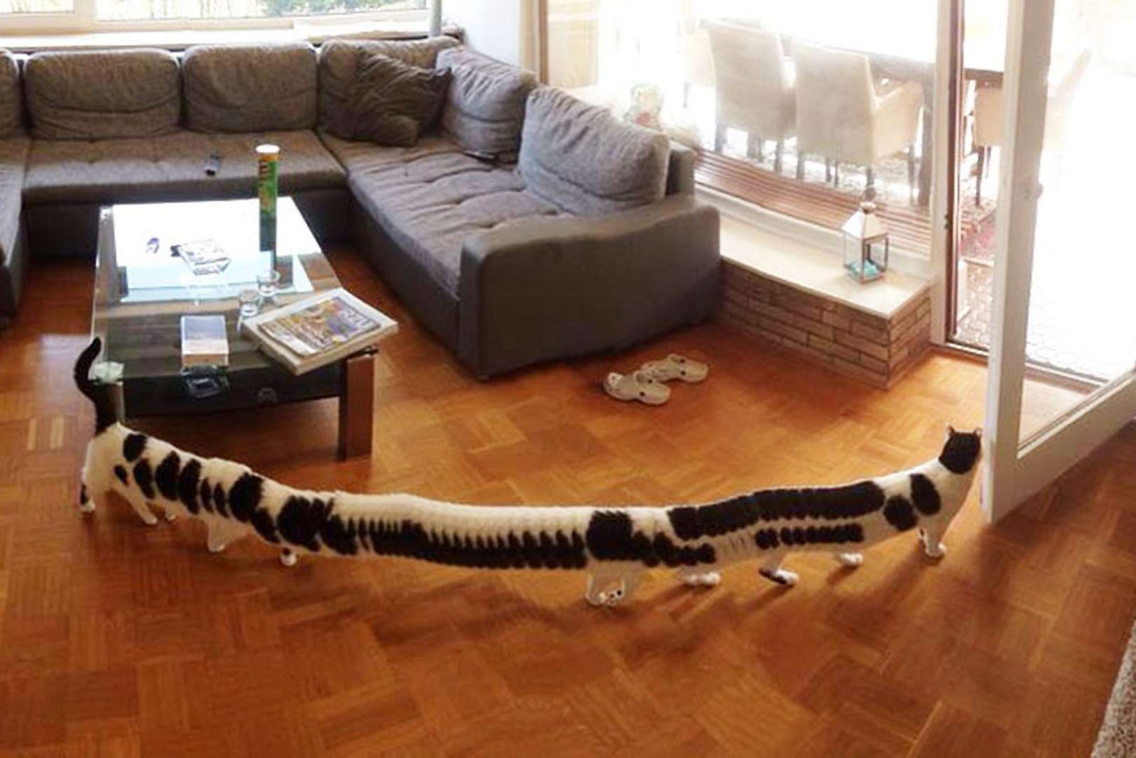 20 Terrifying Panoramic Photo Fails That Are Actually Hilarious Page